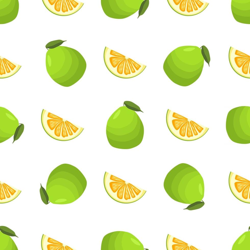 Illustration on theme big colored seamless pomelo vector