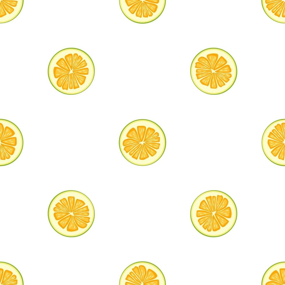 Ilustración sobre tema pomelo transparente de color grande vector