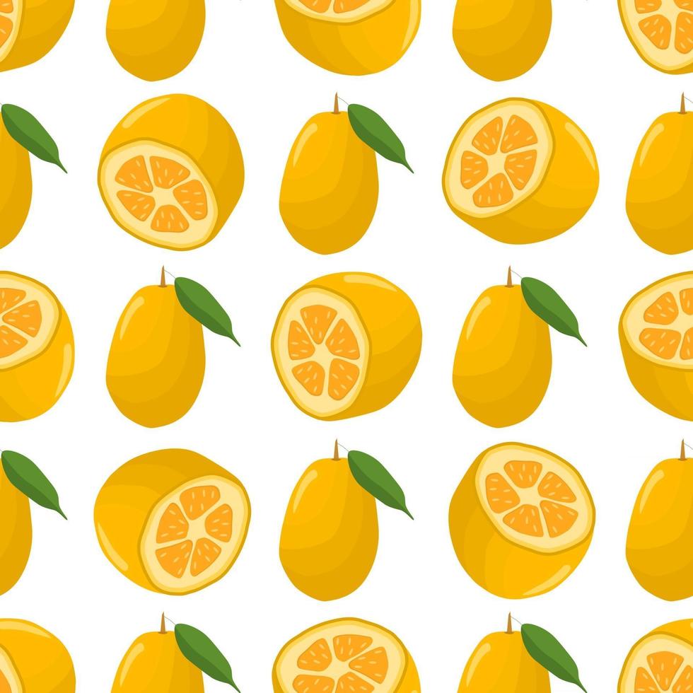 Illustration on theme big colored seamless kumquat vector