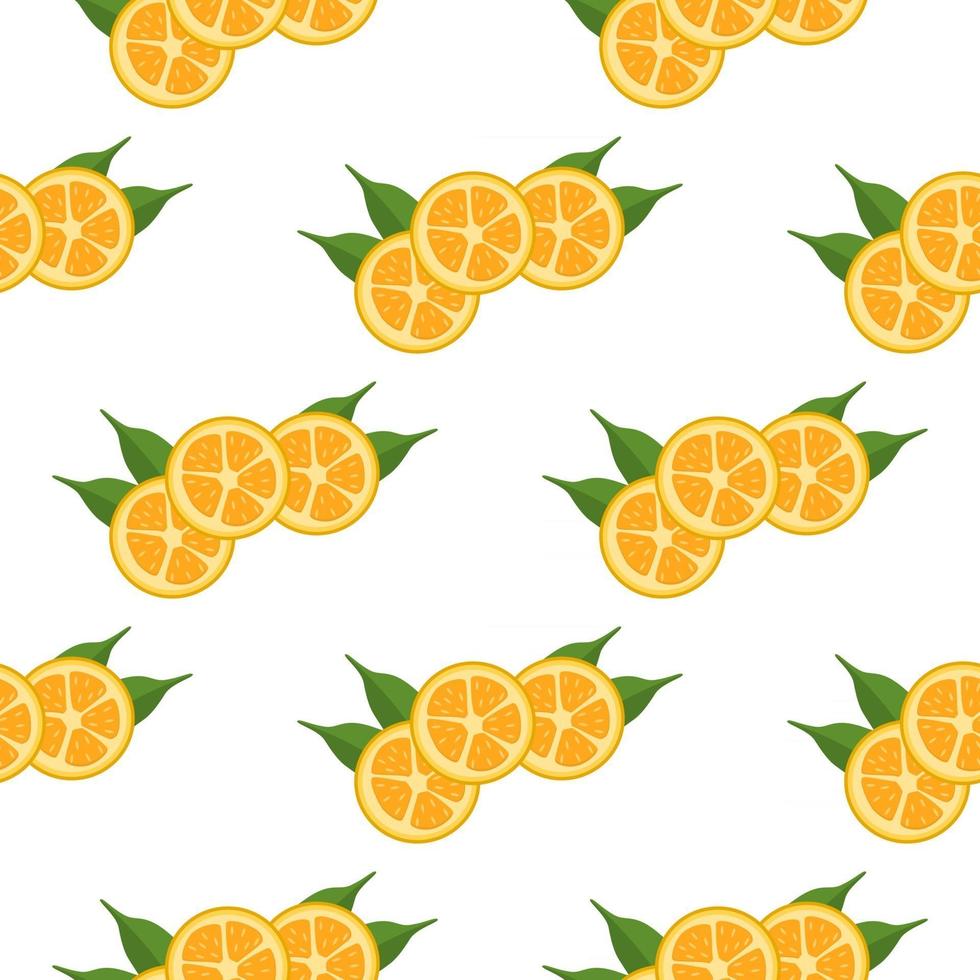 Ilustración sobre el tema kumquat transparente de color grande vector