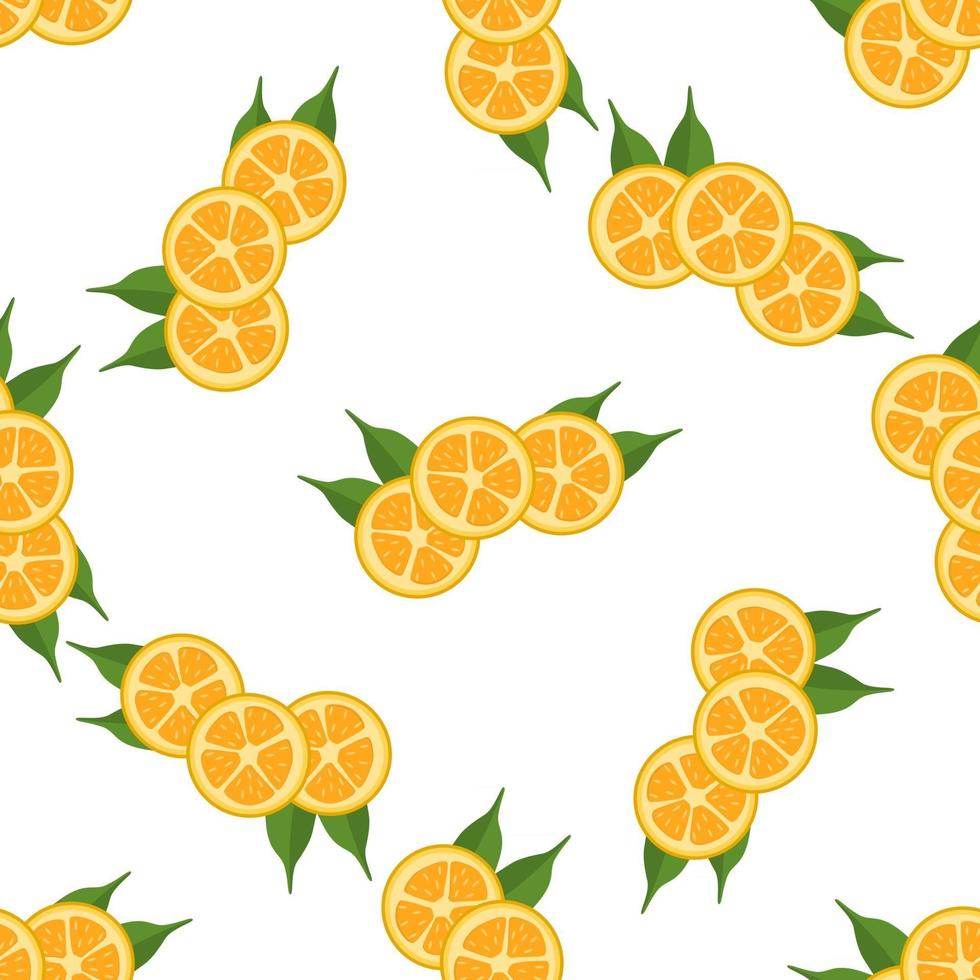 Ilustración sobre el tema kumquat transparente de color grande vector