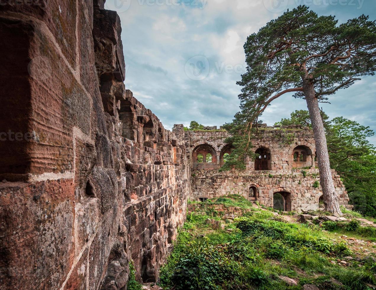 Medieval Castle Landsberg in Vosges, Alsace. Ancient ruins in the mountains. photo