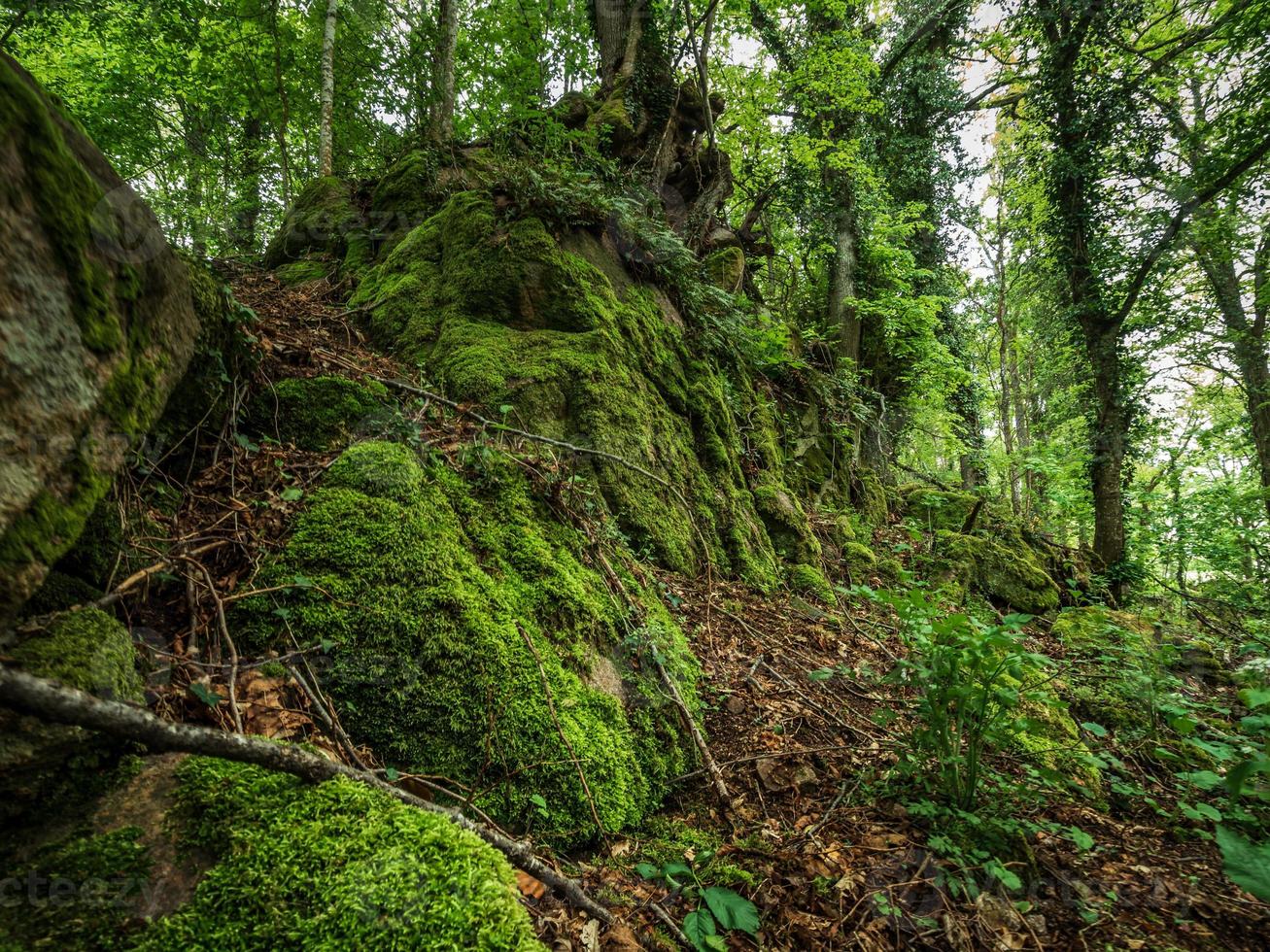 Medieval Castle Landsberg in Vosges, Alsace. Ancient ruins in the mountains. photo