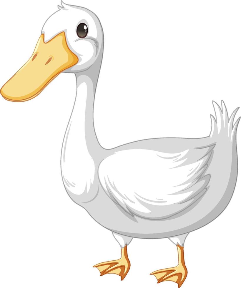 Un pato adulto en estilo de dibujos animados aislado sobre fondo blanco. vector