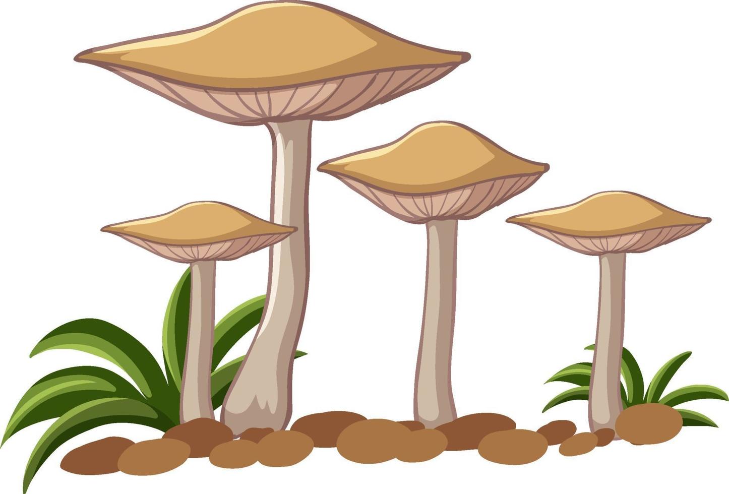 Mushroom in soil with grass on white background vector