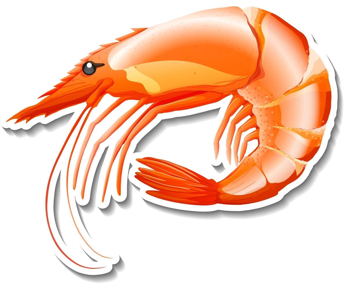 Shrimp seafood cartoon sticker on white background vector