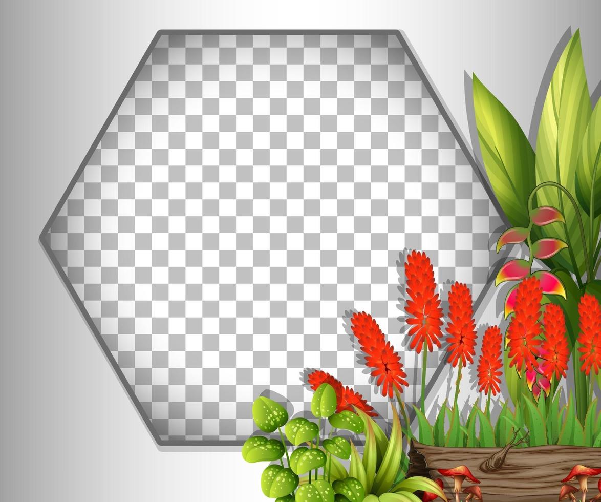 Hexagon frame with red flowers and leaves template vector