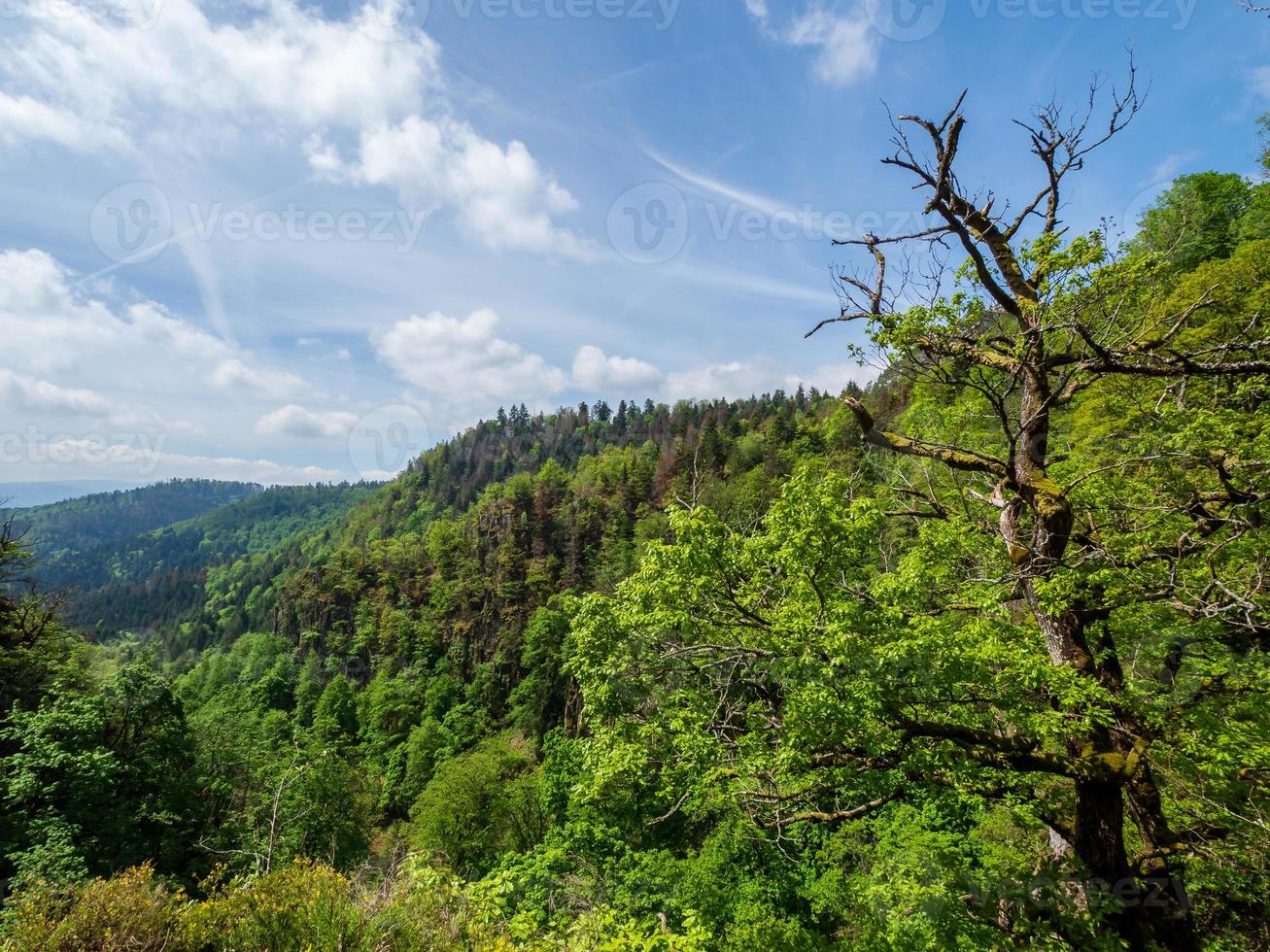 Stunning landscapes of the Vosges in France photo