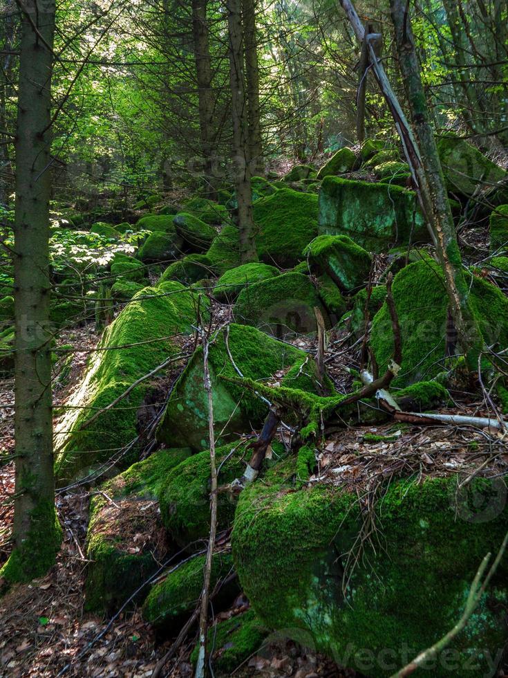 impresionantes paisajes de los vosgos en francia foto