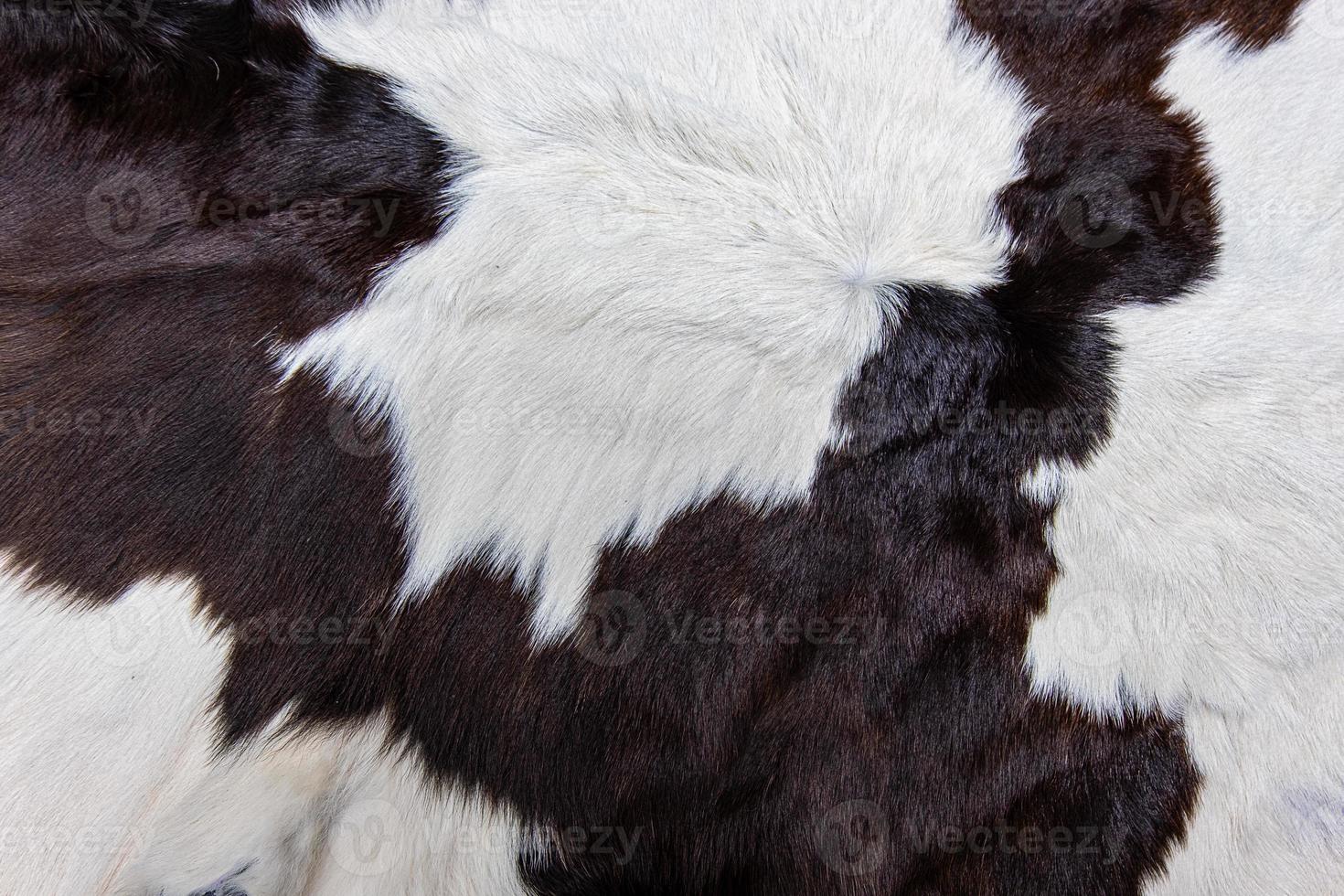 brown Cow skin coat with fur black white and brown spots photo