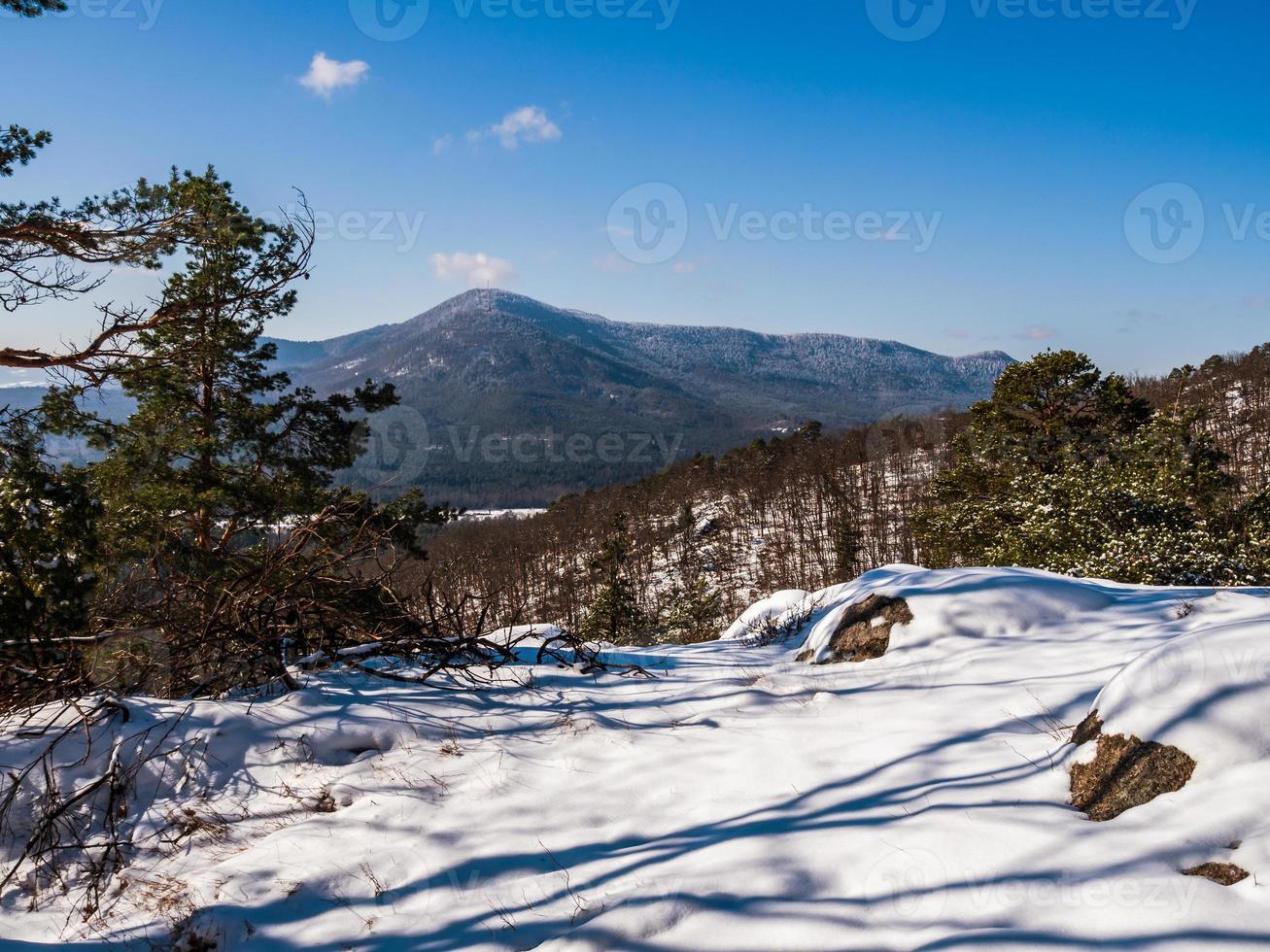 bosque de invierno en las montañas de los vosgos, francia foto