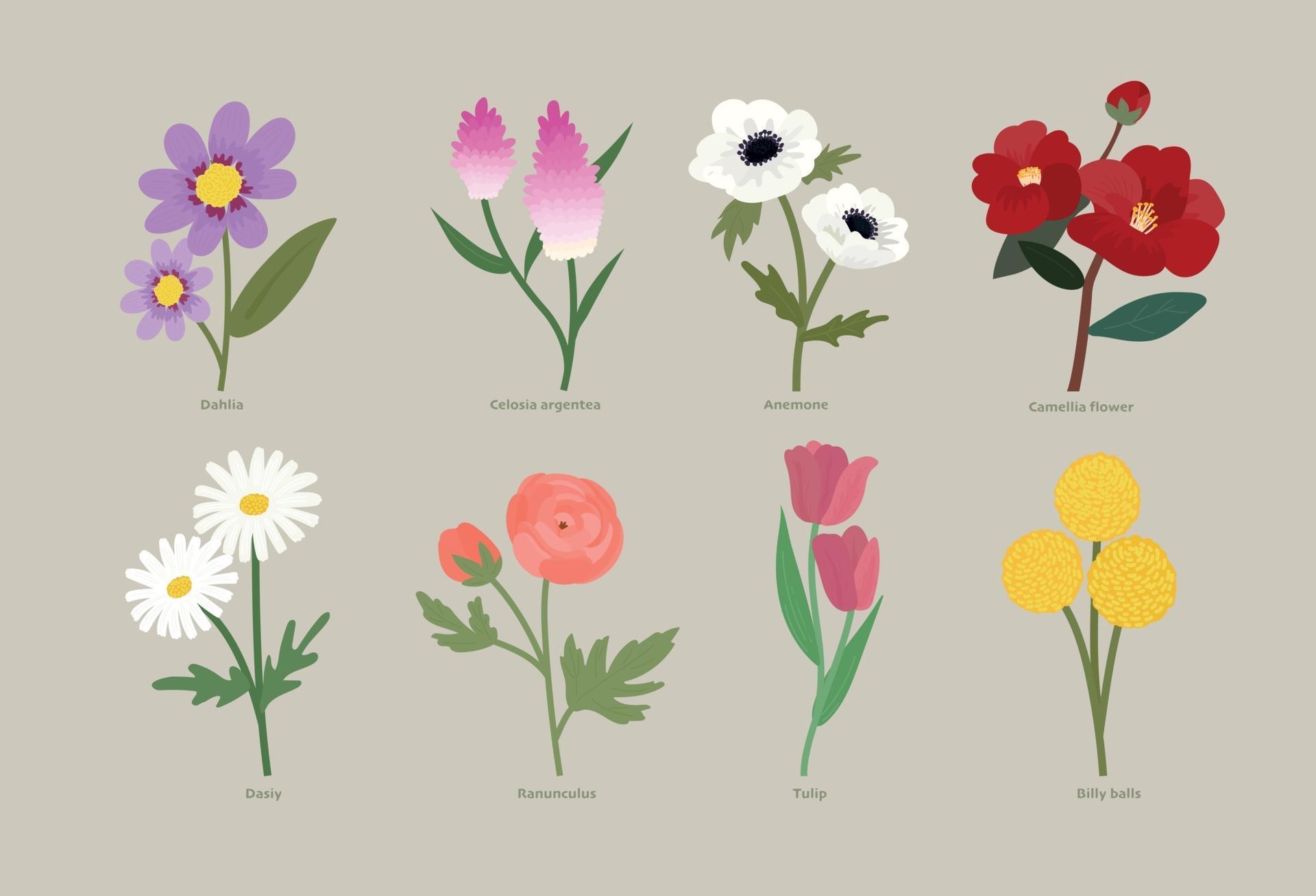 Types of flowers 2989896 Vector Art at Vecteezy