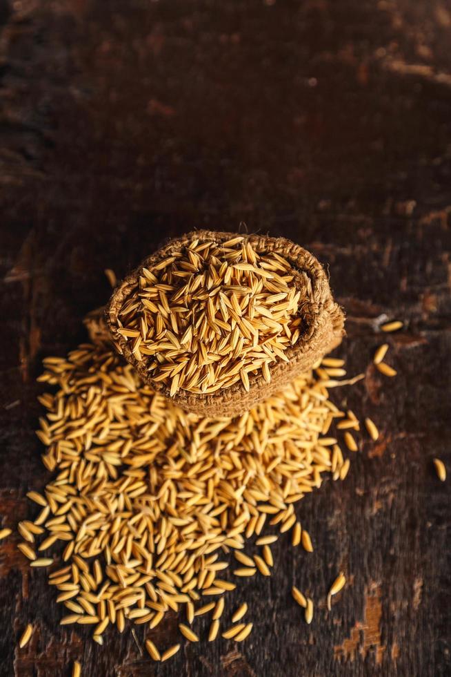 Rice paddy in brown sacks photo