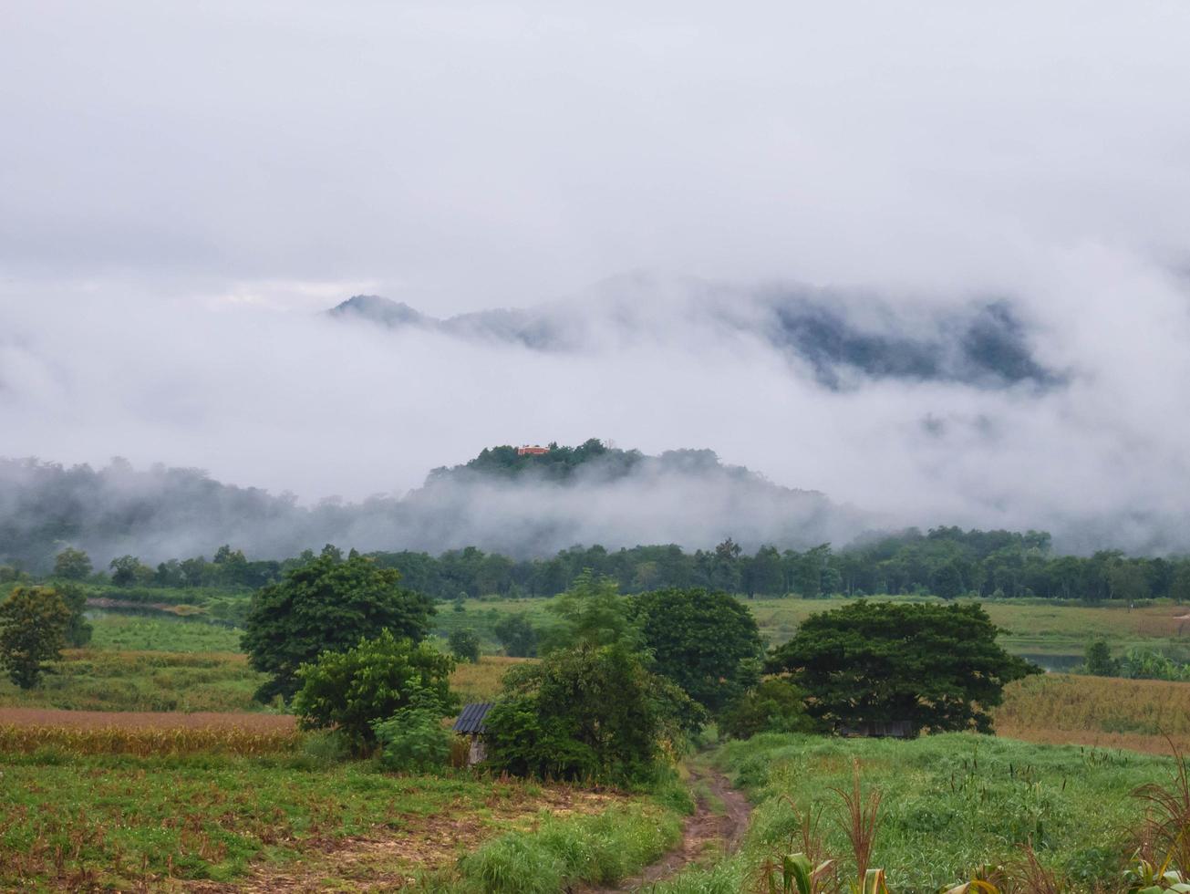 hermoso paisaje de niebla en las montañas foto