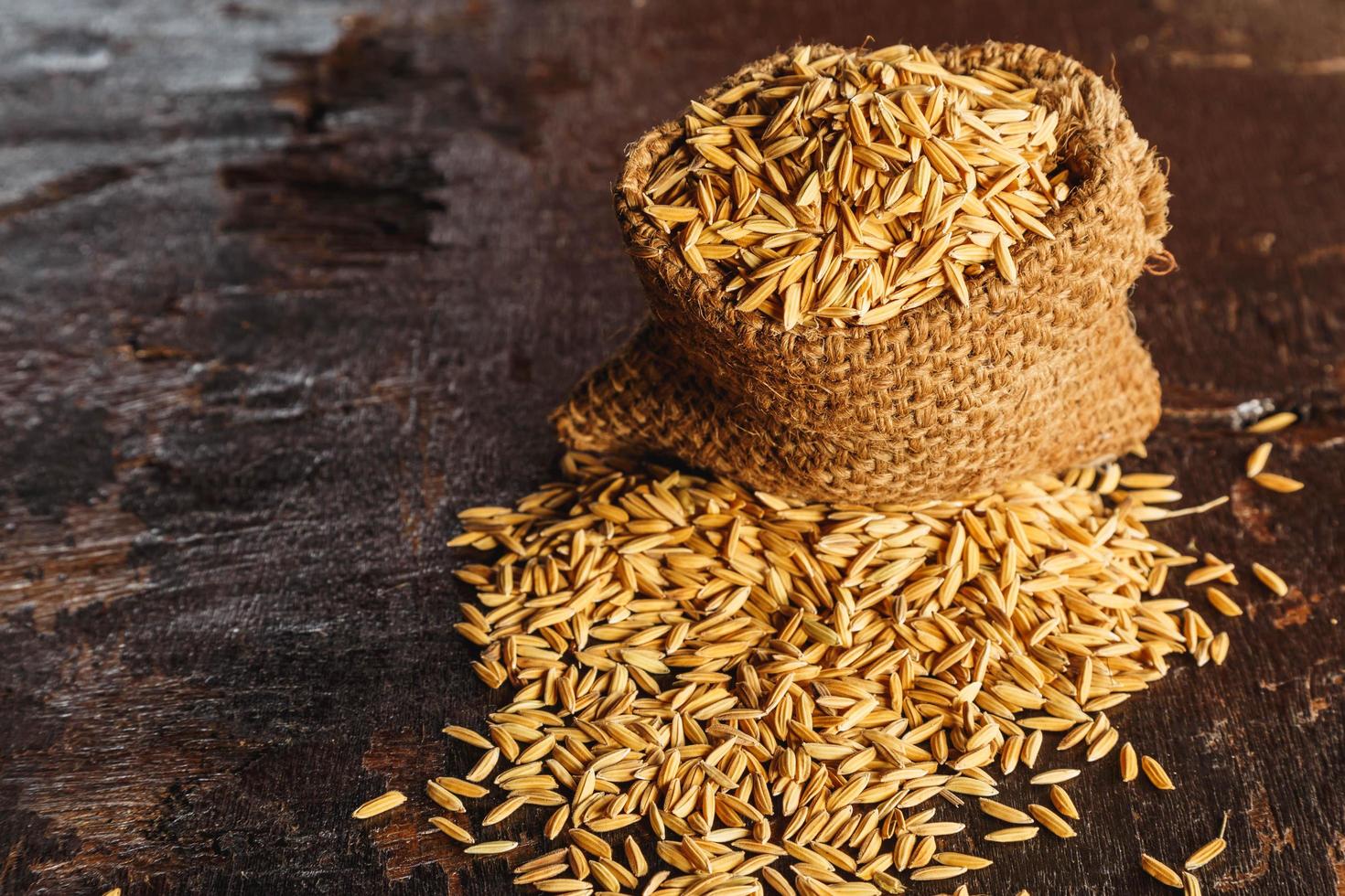 Rice paddy in brown sacks photo