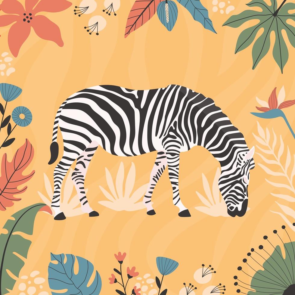 tropical zebra background vector