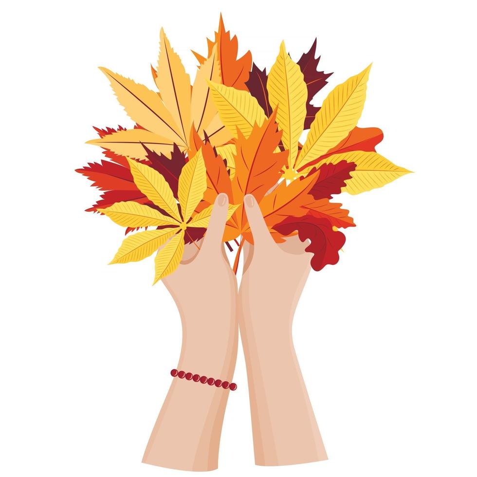 Women's hands hold a bouquet of autumn leaves. Seasonal illustration. vector