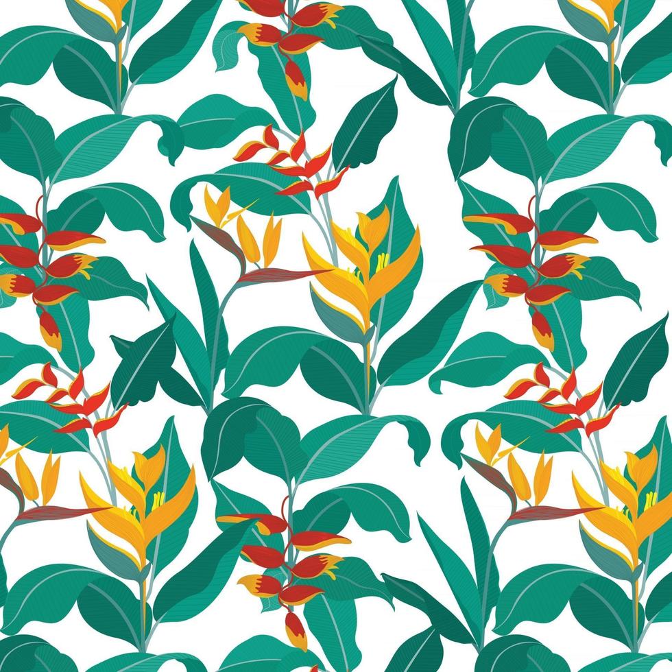 bird of paradise background,botanica wallpaper,nature background vector