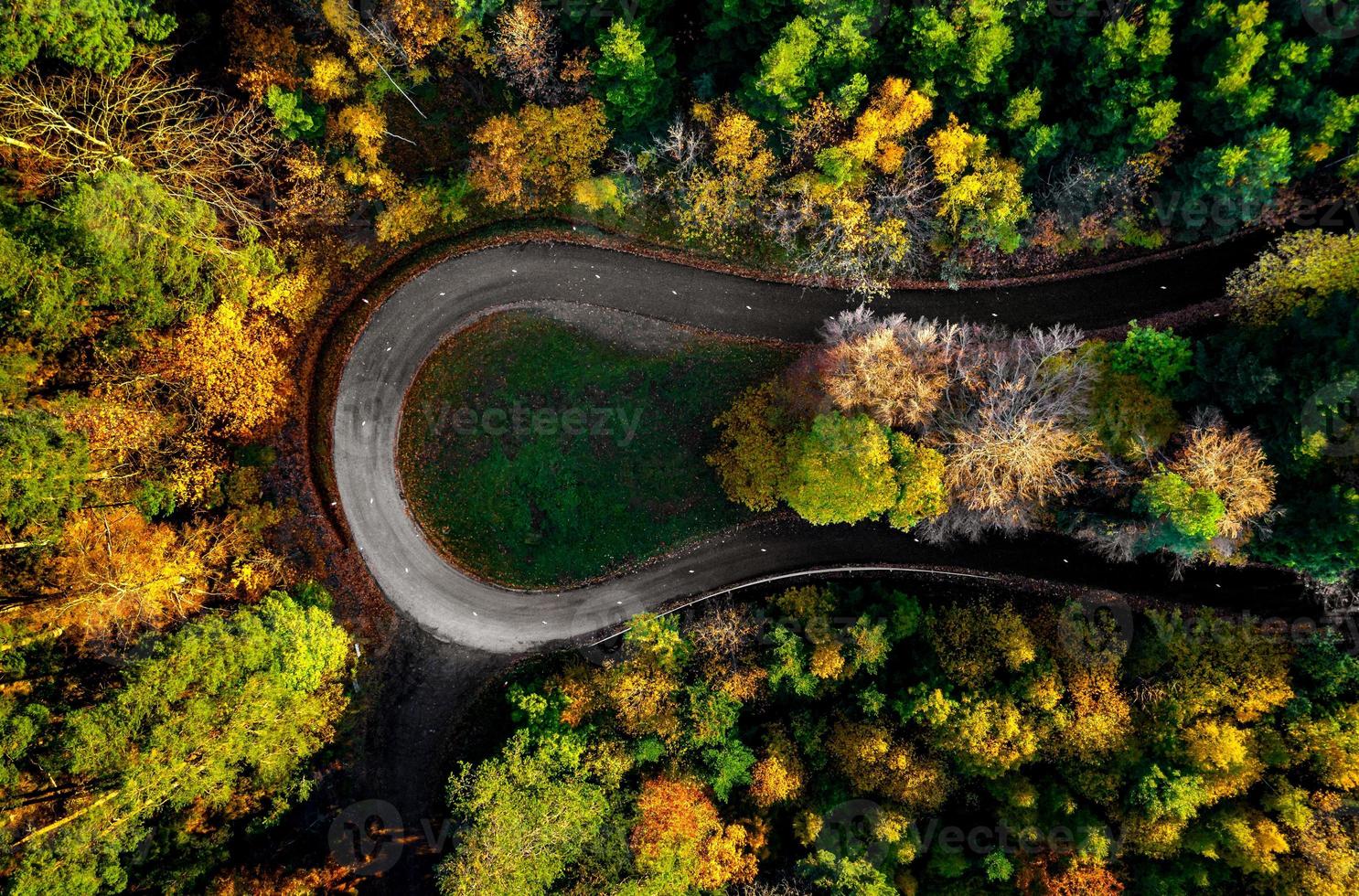 Carretera en zigzag, enmarcada por un bosque otoñal anaranjado foto