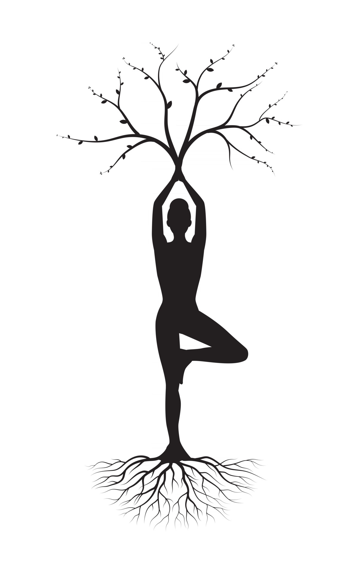 Yoga asana silhouette, tree pose isolated on the white background