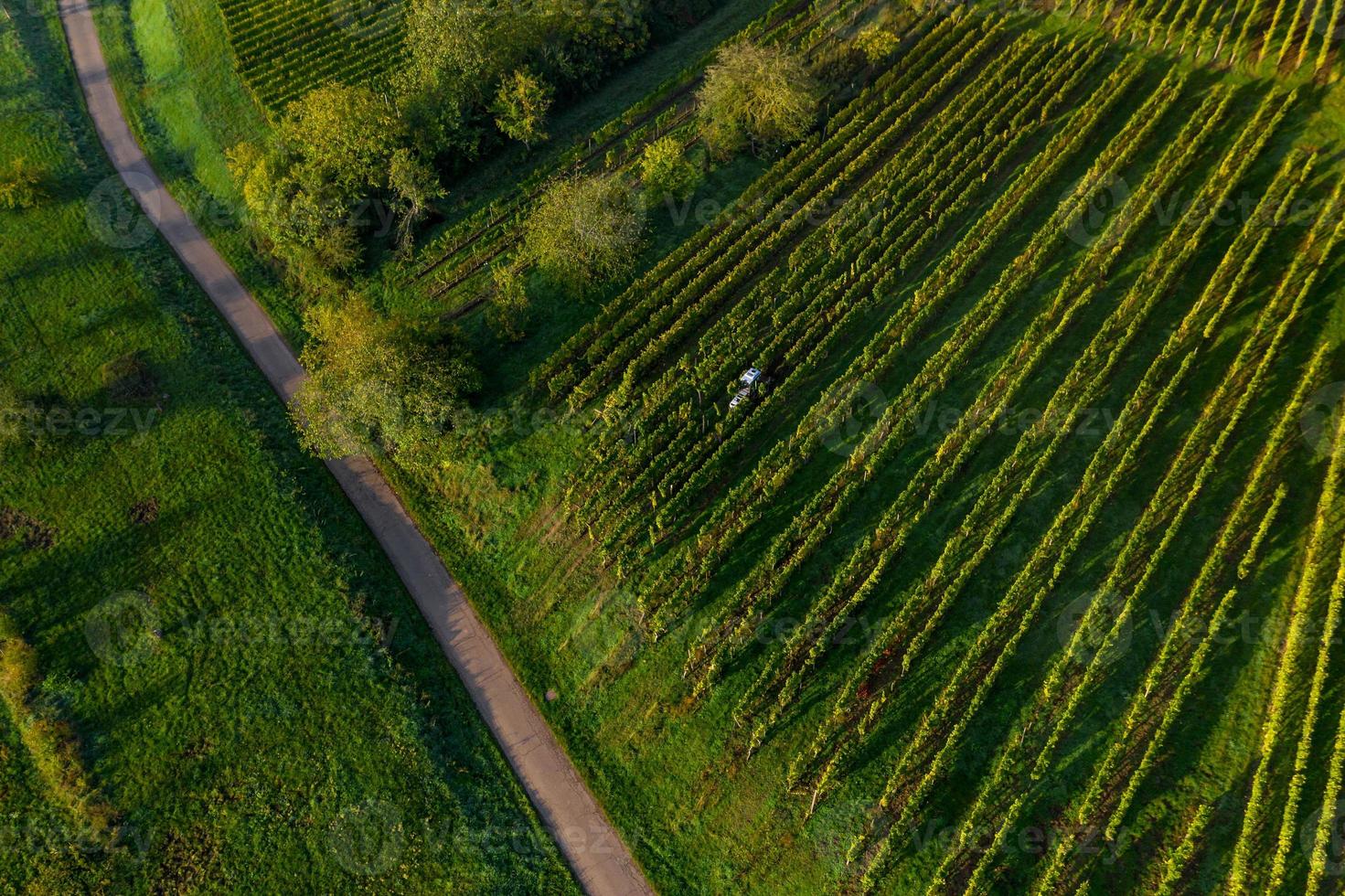 A drone view of the Vosges foothills, France photo