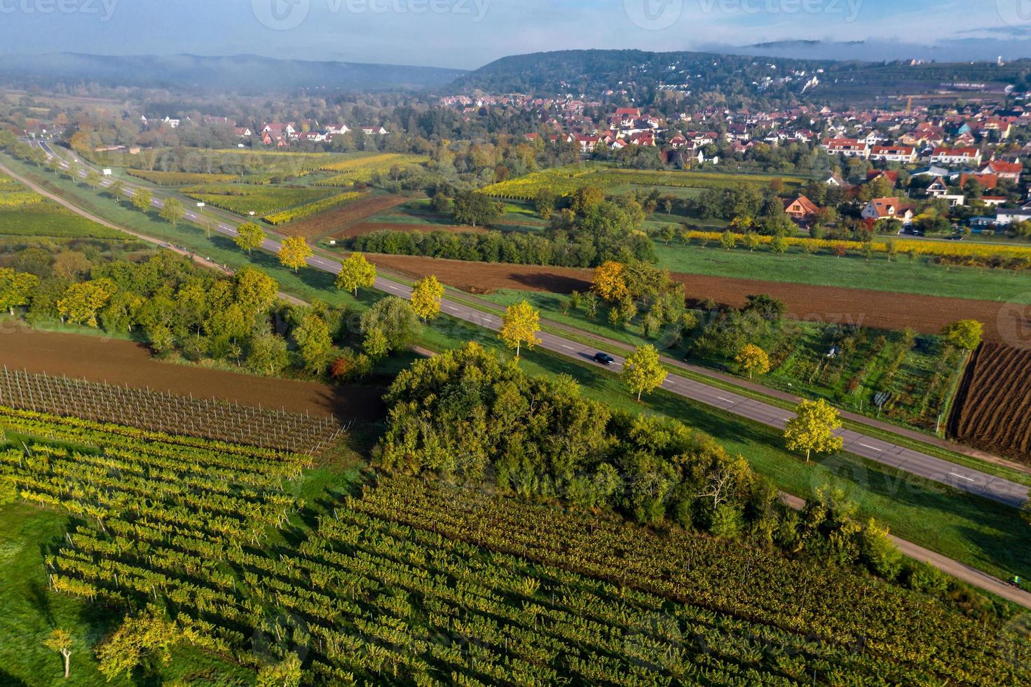 Viñedos en las estribaciones de los Vosgos, Francia foto