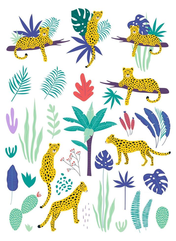 Set of leopards and tropical leaves.Vector vector