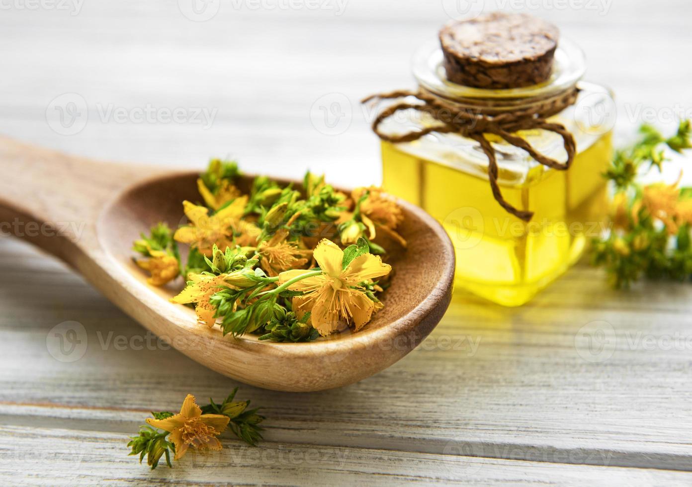 St. John's wort on the wooden spoon and natural oil photo