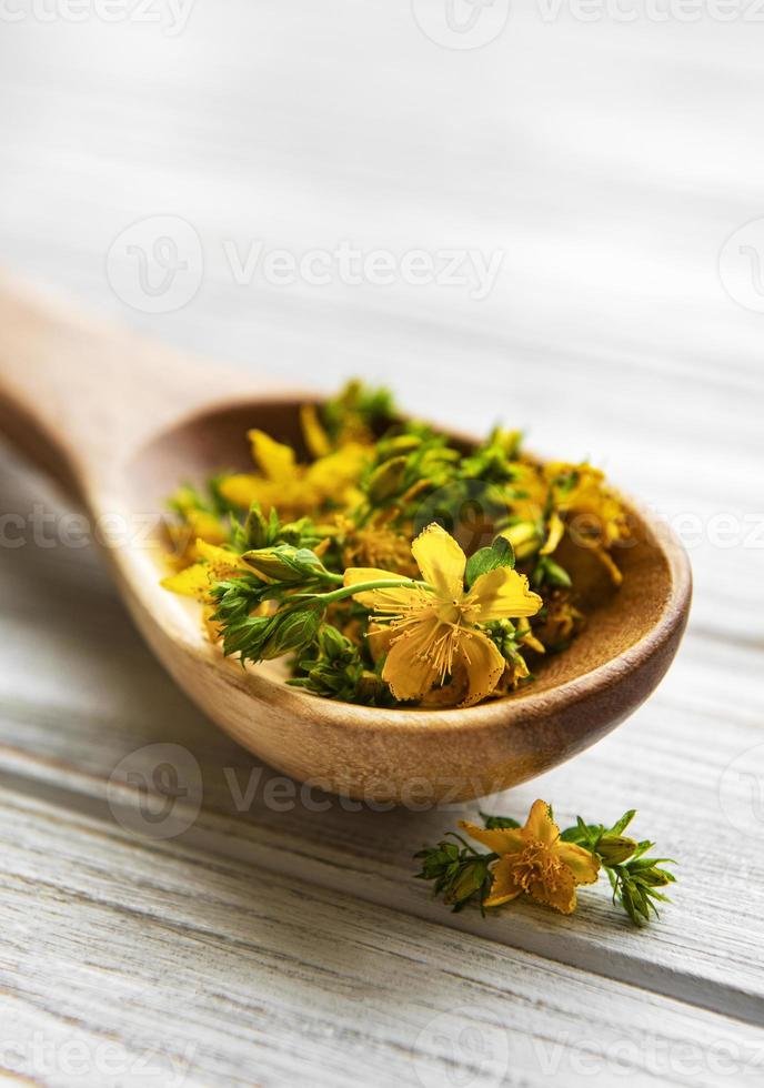 St. John's wort on the wooden spoon photo