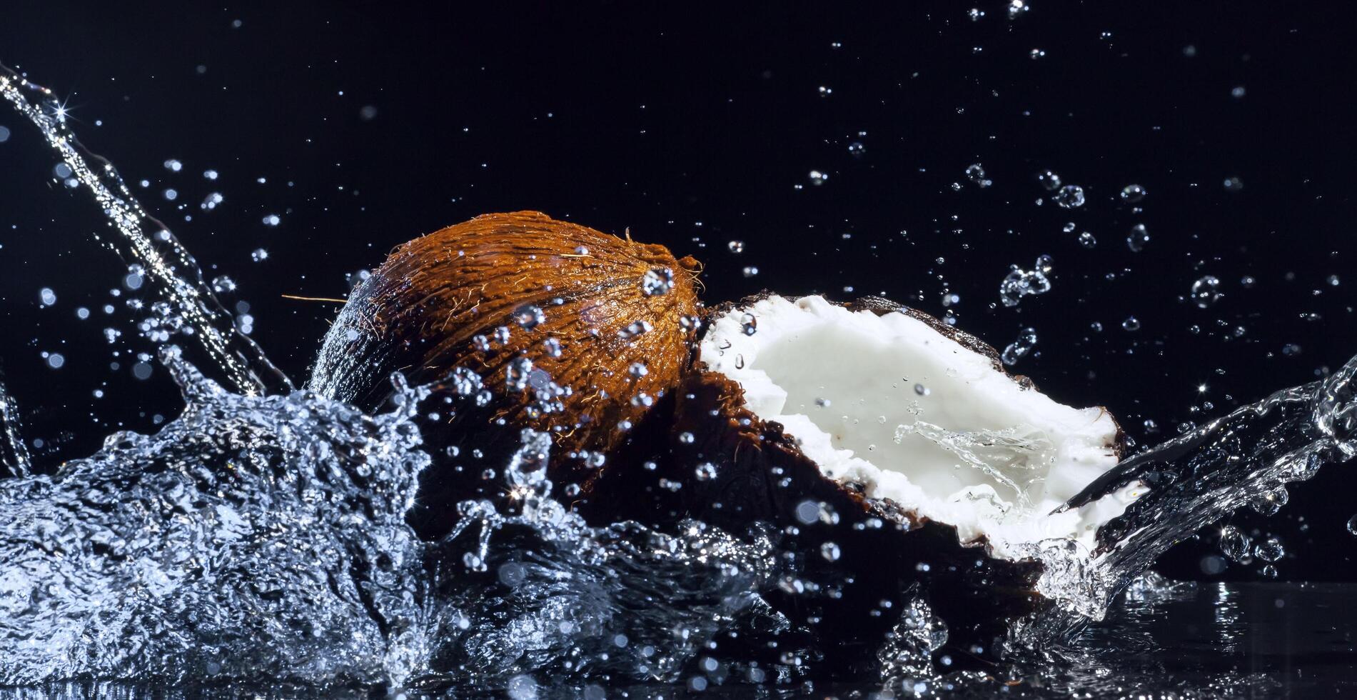 Coconut on the table photo