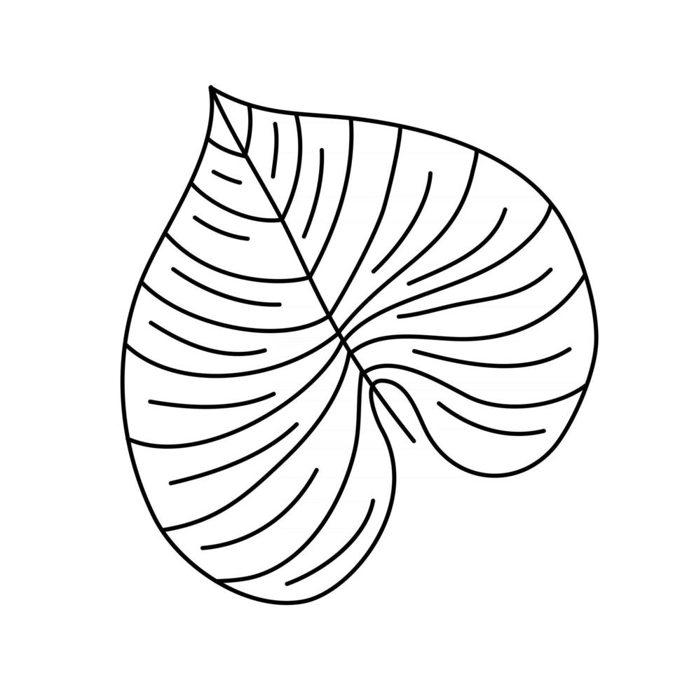 Single monoline vector drawing exotic tropical leaf monstera