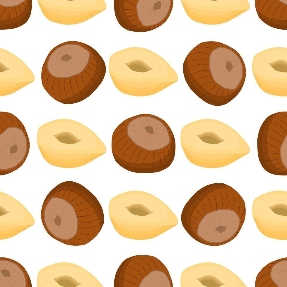 Illustration on theme big pattern identical types hazelnut vector