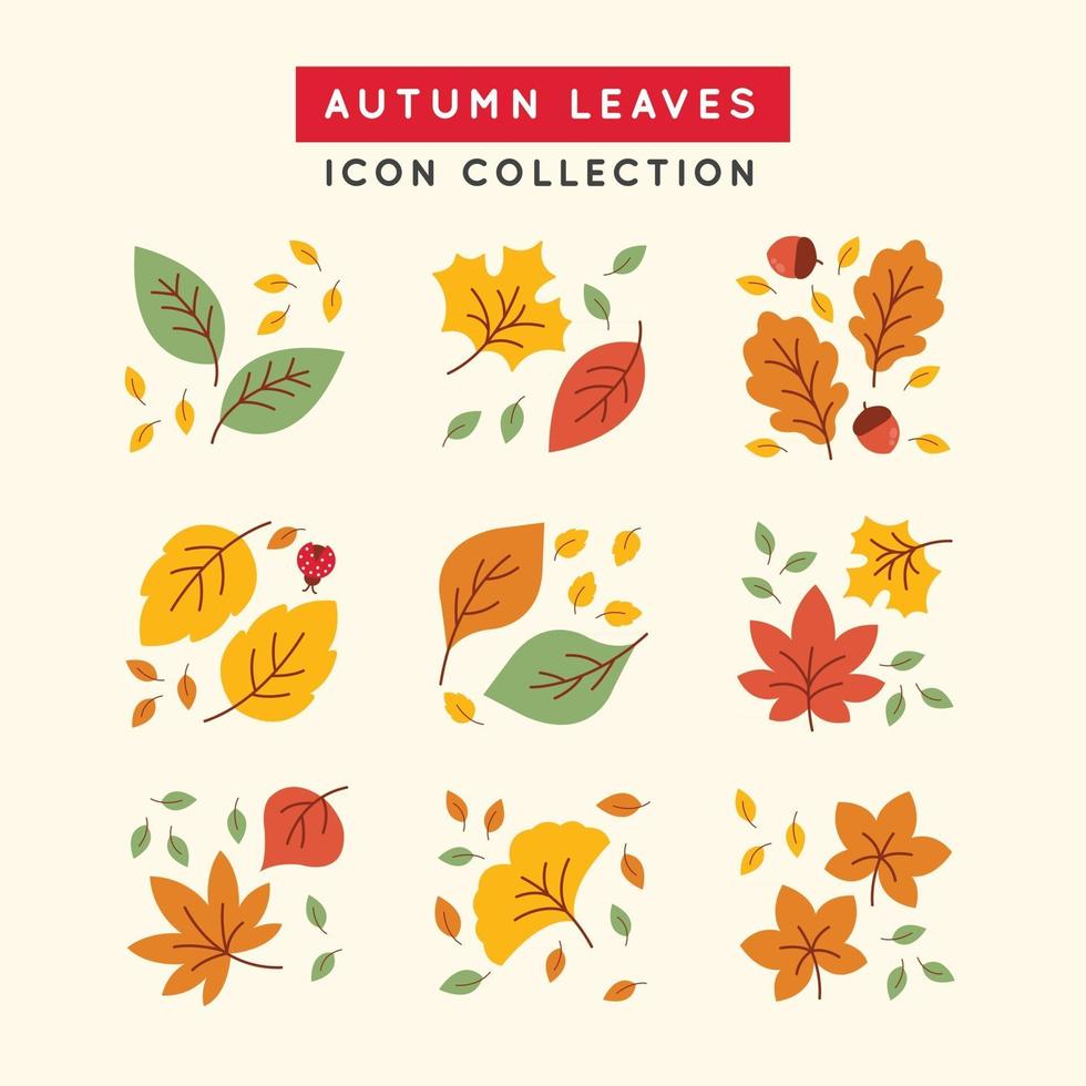 Colorful Tropical Falling Autumn Leaves vector