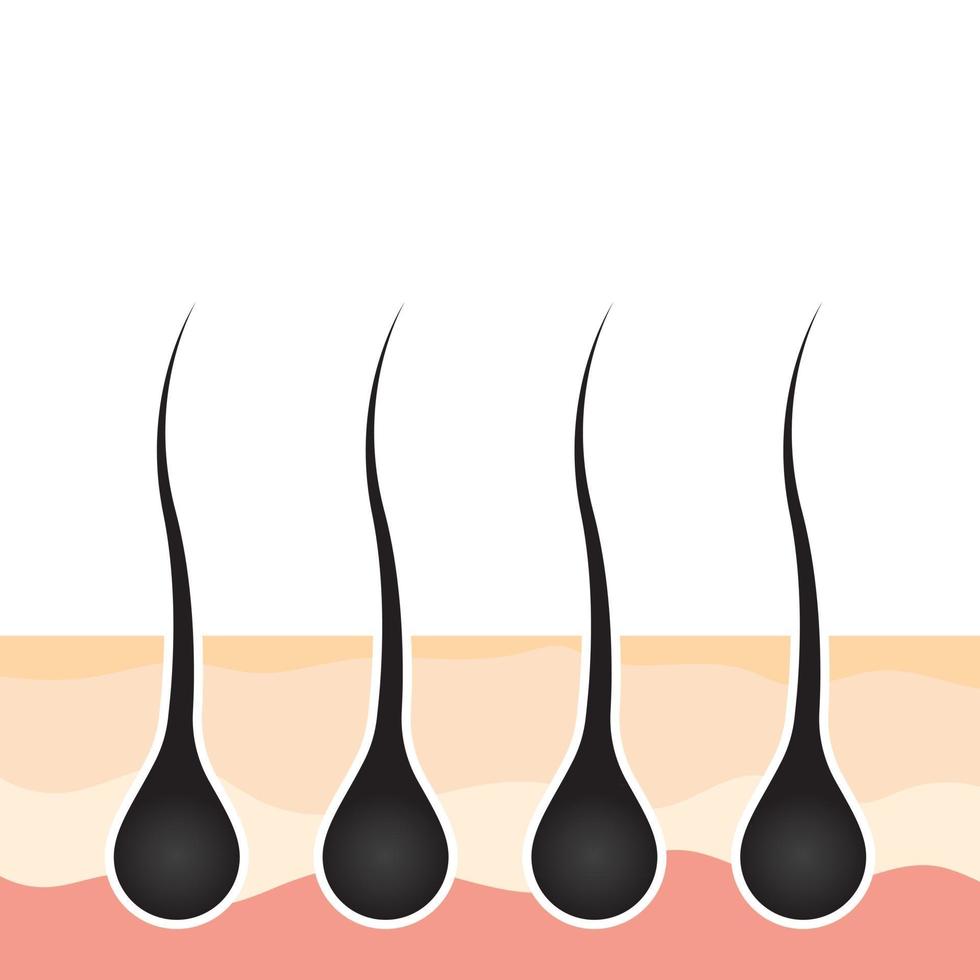 Hair logo and symbol vector icon