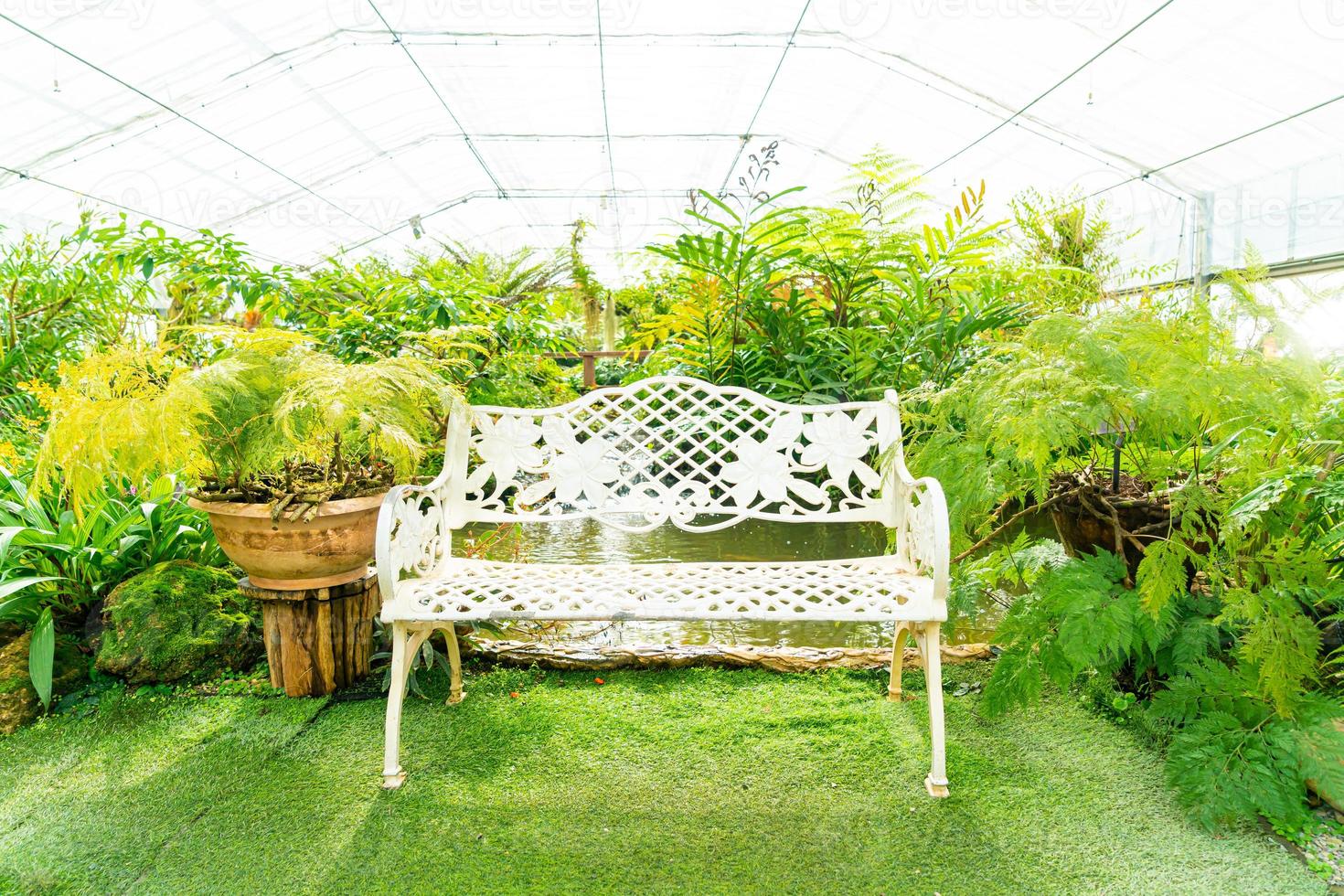 Empty white chair in the garden photo