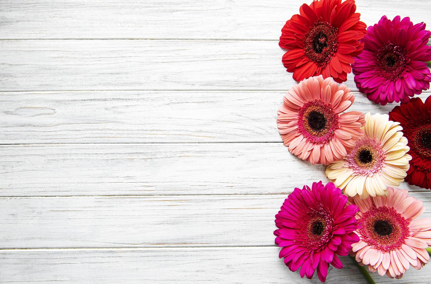 Flores de gerbera brillante sobre un fondo de madera blanca foto