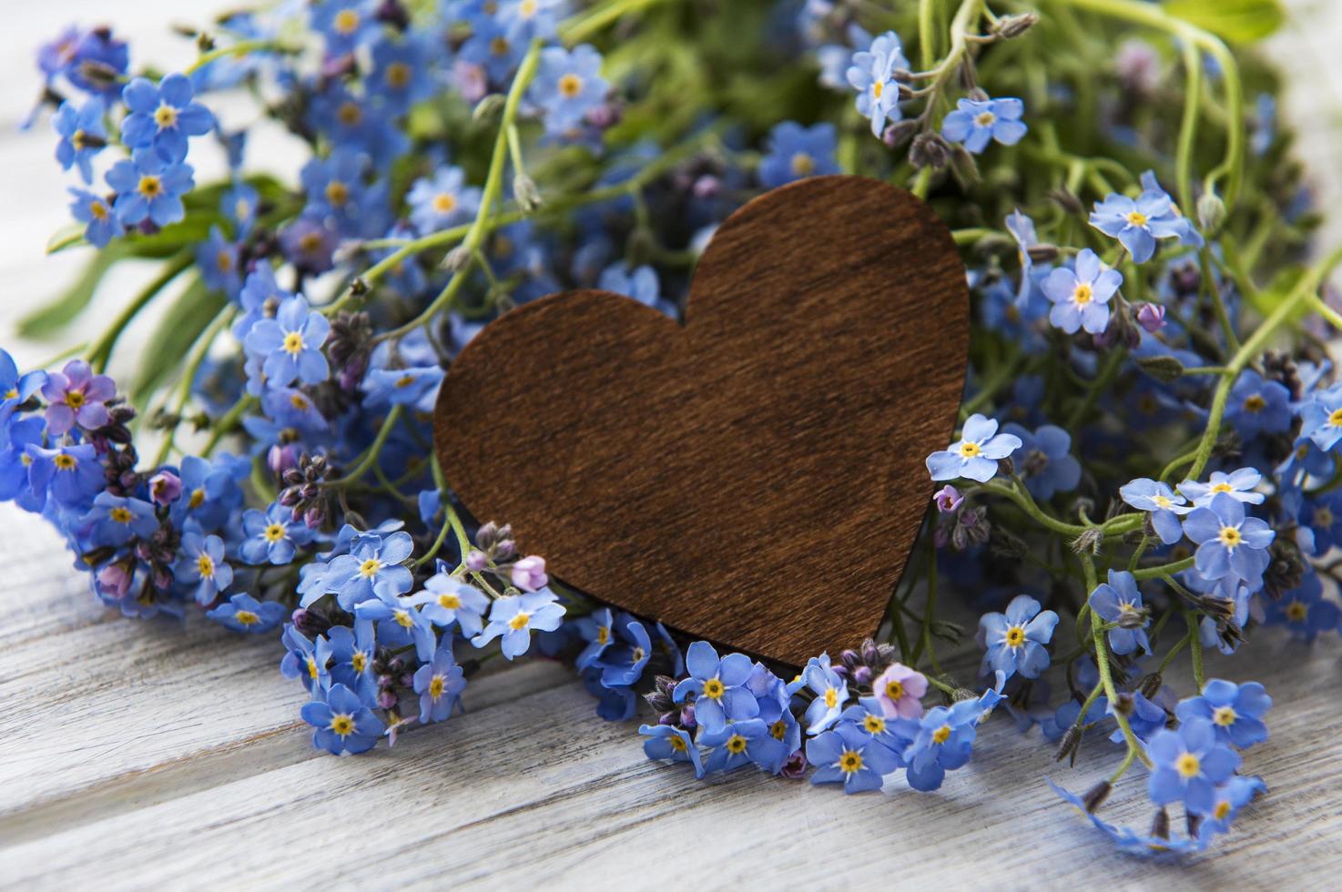 flores nomeolvides y corazón de madera foto