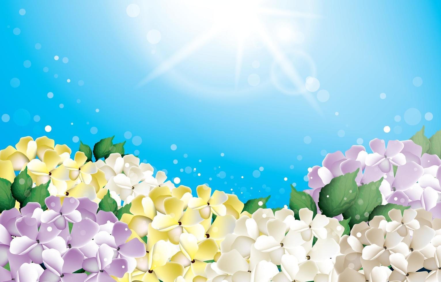 Hydrangea Flower Background Concept vector
