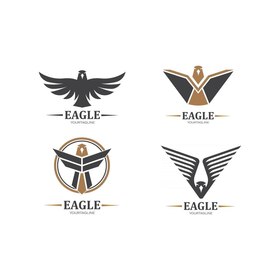 halcón, águila, pájaro, logotipo, plantilla, vector