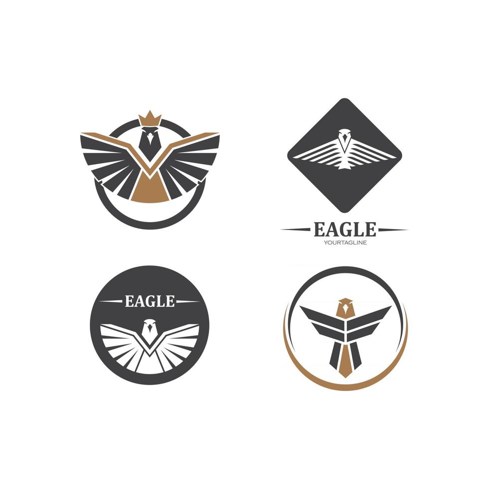 halcón, águila, pájaro, logotipo, plantilla, vector