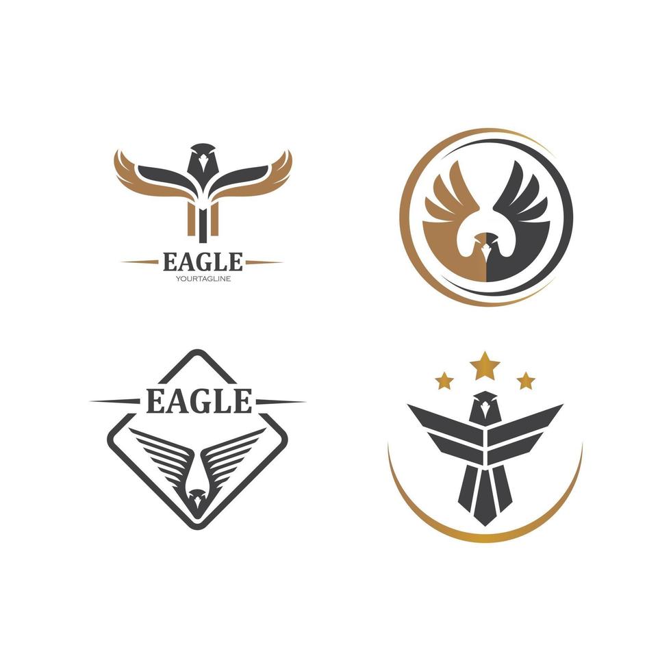 halcón, águila, pájaro, logotipo, plantilla, vector