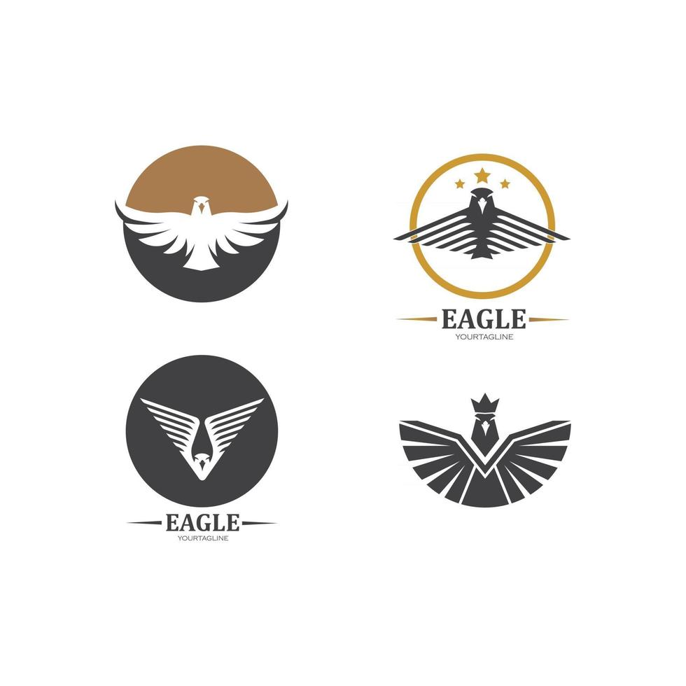 halcón, águila, pájaro, logotipo, plantilla, vector