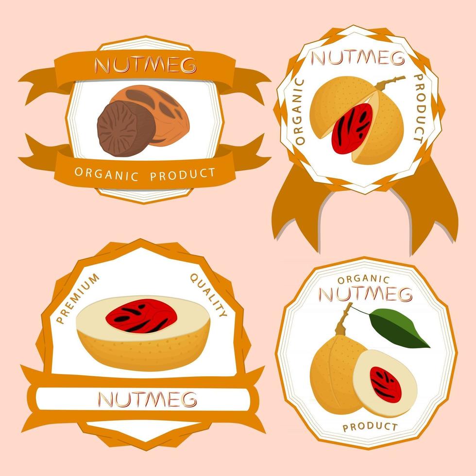 Ilustración sobre el tema gran conjunto de diferentes tipos de nuez moscada de especias vector