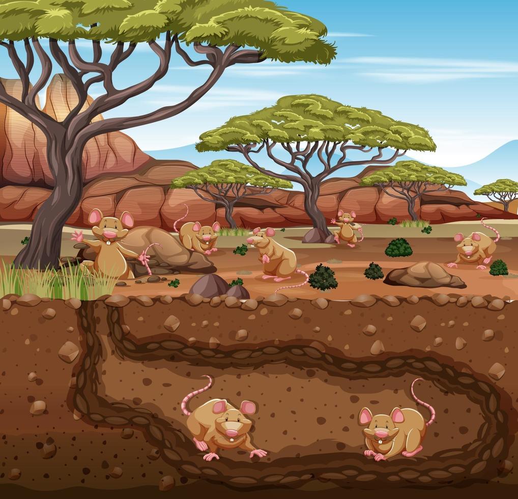 Underground animal burrow with rat family vector