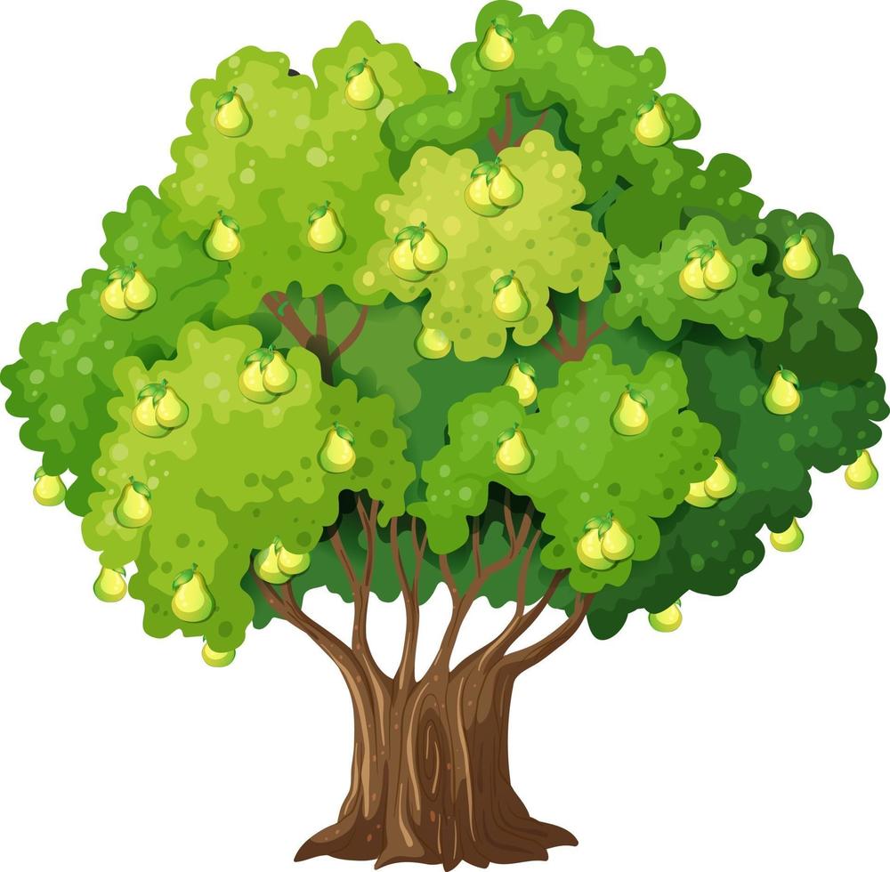 Pear tree in cartoon style isolated on white background 2997464 Vector Art  at Vecteezy