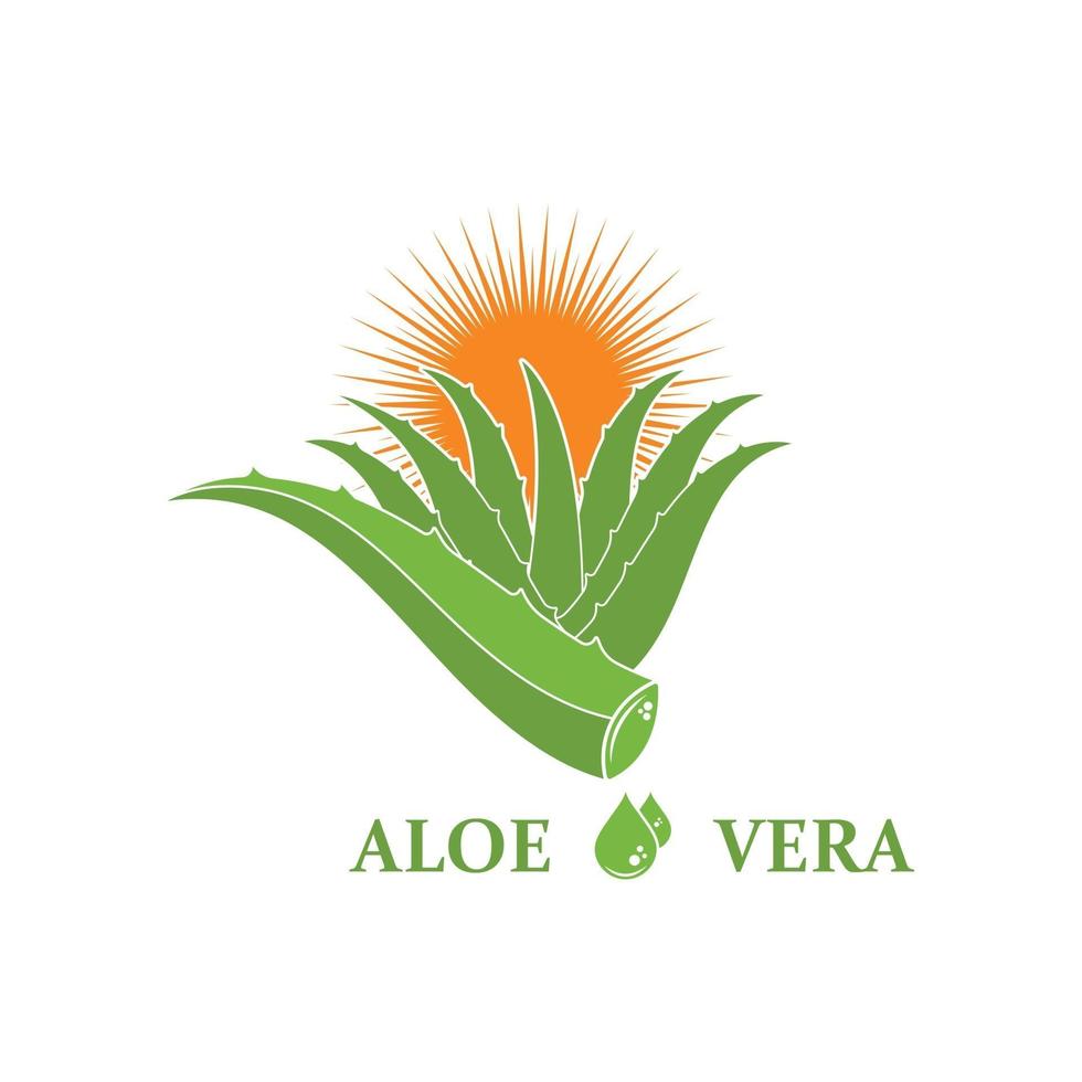 Aloevera logo icono diseño ilustración vectorial vector