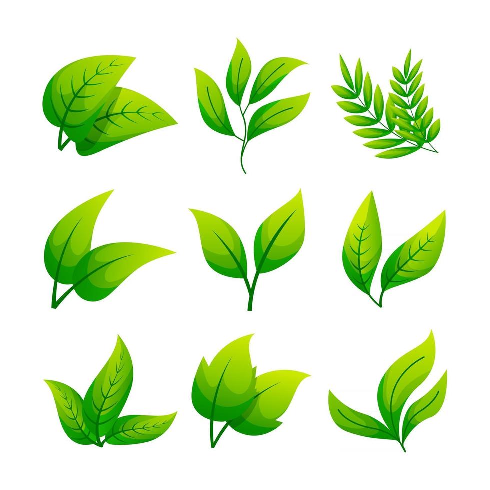 Leaves Icon Collection vector