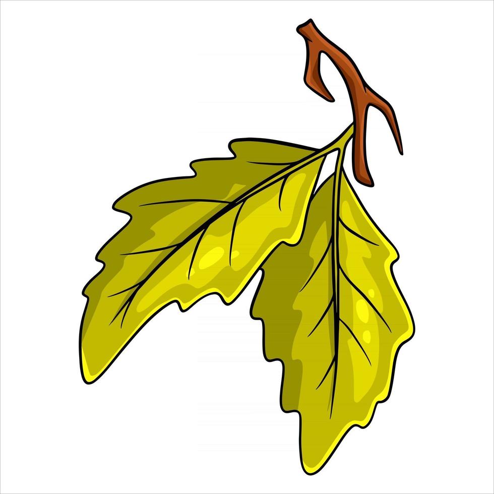 A small twig with two oak leaves. Cartoon style. vector