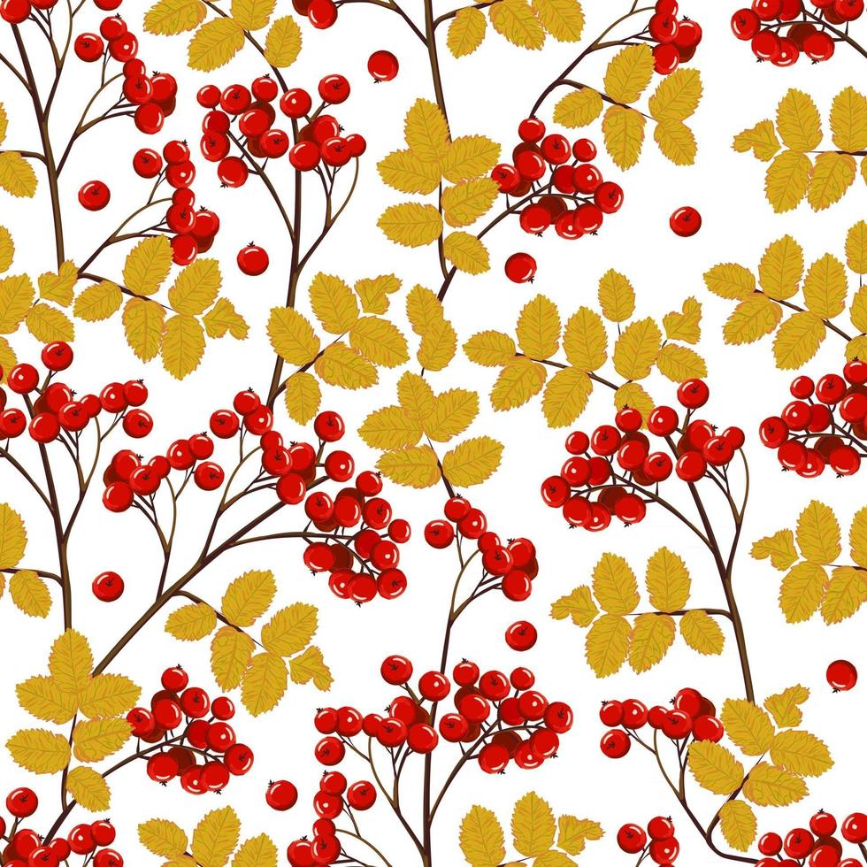 Seamless autumn pattern with rowan branches vector
