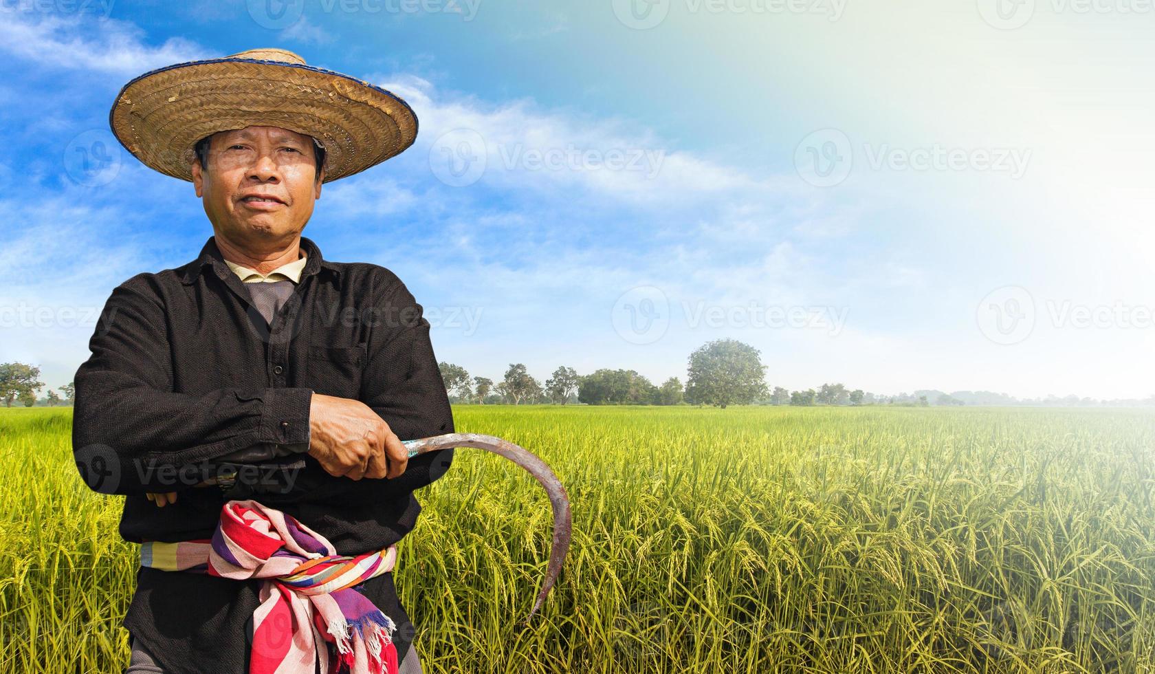 Farmer in the rice field photo